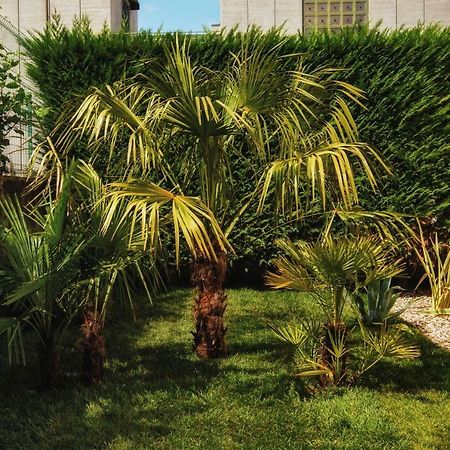 Le Palme Rooms & Breakfast Trento Eksteriør bilde